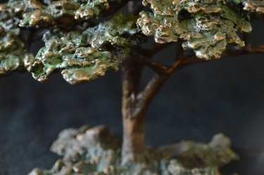 Acacia Tree - Flat Crown