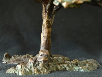 Acacia Tree - Flat Crown