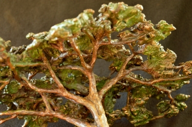 Acacia Tree - Flat Crown