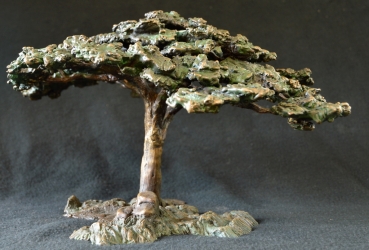 Acacia Tree - Flat Crown