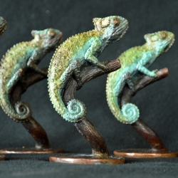 Chameleon - an exclusive corporate gift