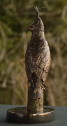 Long-Crested Eagle Exclusive Gift