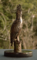 Long-Crested Eagle Exclusive Gift