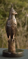 Long-Crested Eagle Exclusive Gift