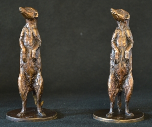 Meerkats as corporate gifts