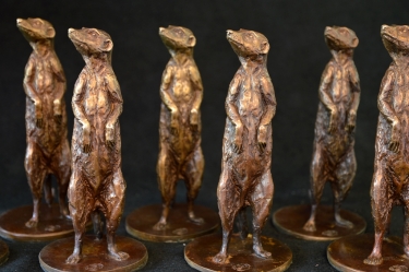 Meerkats as corporate gifts