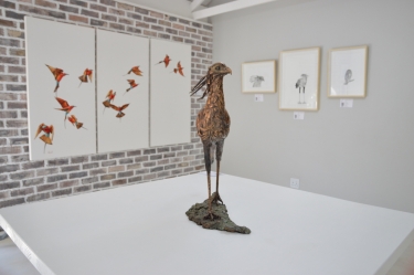 Elegant Feathers exhibition - Hoedspruit 