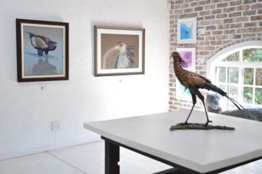 Elegant Feathers exhibition - Hoedspruit 