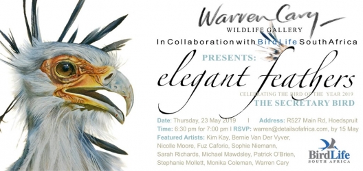 Elegant Feathers exhibition - Hoedspruit 