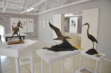 Elegant Feathers exhibition - Hoedspruit 