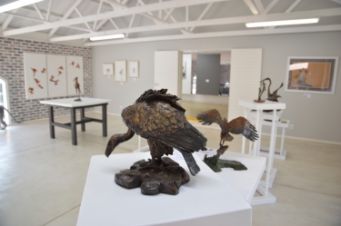 Elegant Feathers exhibition - Hoedspruit 