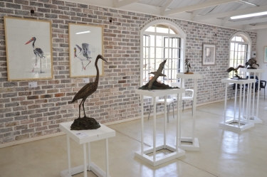 Elegant Feathers exhibition - Hoedspruit 