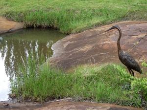 Encounter Garden Exhibition in Kokstad