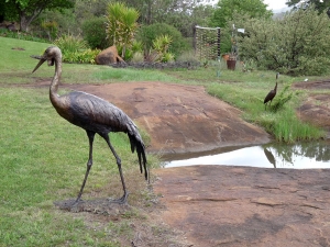 Encounter Garden Exhibition in Kokstad