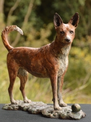 Basenji Dog