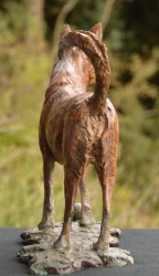 Basenji Dog