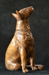 Bull Terrier 2