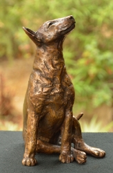 Bull Terrier 2