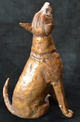 Bull Terrier 2