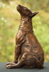 Bull Terrier 2