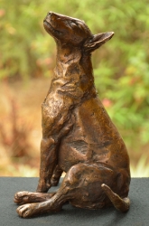Bull Terrier 2