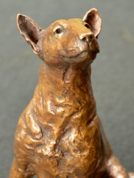 Bull Terrier 2