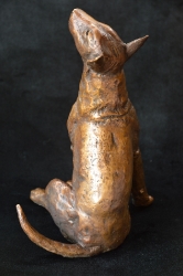 Bull Terrier 2