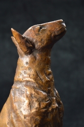 Bull Terrier 2