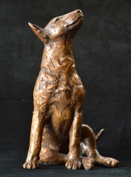 Bull Terrier 2
