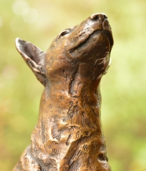 Bull Terrier 2