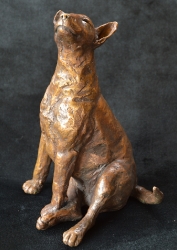 Bull Terrier 2