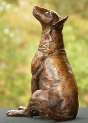 Bull Terrier 2