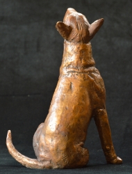 Bull Terrier 2