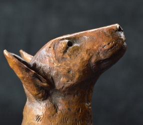 Bull Terrier 2