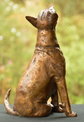 Bull Terrier 2