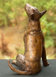 Bull Terrier 2