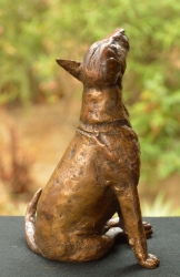 Bull Terrier 2