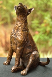 Bull Terrier 2