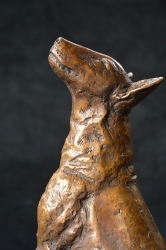 Bull Terrier 2