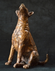 Bull Terrier 2