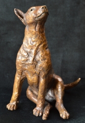 Bull Terrier 2