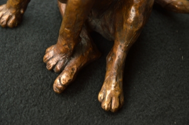 Bull Terrier 2