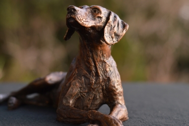 German Short-Haired Pointer