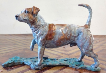 Maté - Jack russel