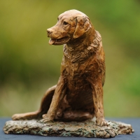 Labrador - Old Friend