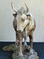 Nguni Cow