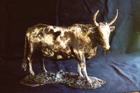 Nguni Cow