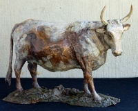 Nguni Cow