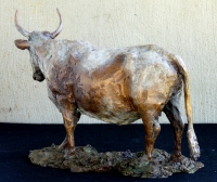 Nguni Cow