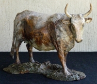 Nguni Cow